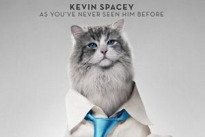 Трейлер комедии "Девять жизней" - «Видео»