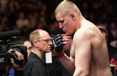 Павлович захотел провести реванш с Волковым - «Бокс и ММА»