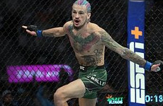 О'Мэлли защитил титул чемпиона UFC в легчайшем весе - «Бокс и ММА»