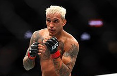 Оливейра победил Чендлера на UFC 309 - «Бокс и ММА»