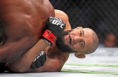 Чимаев ответил на вопрос о завершении карьеры - «Бокс и ММА»