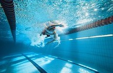World Aquatics указал российский флаг для участников эстафет на ЧМ-2025 - «Летние виды»