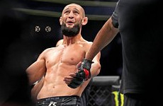 Чимаев высказался о получении гражданства ОАЭ - «Бокс и ММА»