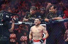 Двалишвили защитил титул UFC в легчайшем весе - «Бокс и ММА»