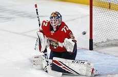 Российский хоккейный вратарь устроил жесткую драку на матче НХЛ - «Зимние виды»