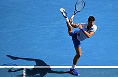 Джокович потерпел поражение в полуфинале Australian Open - «Летние виды»