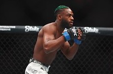 Американский боец UFC обвинил судей промоушена в лояльном отношении к россиянам - «Бокс и ММА»