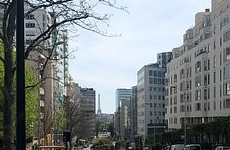 Российскую девушку-бойца UFC выселили из квартиры в Париже - «Бокс и ММА»