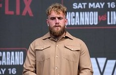 Трамп предложил блогеру Полу устроить бой с Хабибом Нурмагомедовым - «Бокс и ММА»