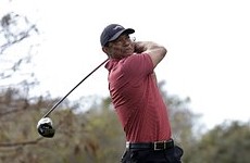 В США арестован гольфист Тайгер Вудс. За что одного из самых богатых спортсменов мира отправили в тюрьму? - «Летние виды»