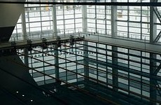 Федерация водного поло Украины призвала отменить матч с россиянами - «Летние виды»