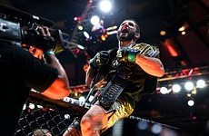 Махачев назвал причину срыва боя в Белом доме - «Бокс и ММА»