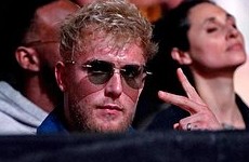 Бывший чемпион Bellator оценил шансы блогера Пола провести бой с Нурмагомедовым - «Бокс и ММА»