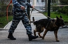 На стадионе «Динамо» объявили эвакуацию после матча с «Краснодаром» - «ФУТБОЛ»