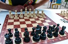 Пять стран обжаловали в CAS решение снять санкции с российских шахматистов - «Летние виды»