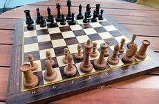 12-летний россиянин обыграл действующего чемпиона мира по шахматам на ЧМ по блицу - «Летние виды»